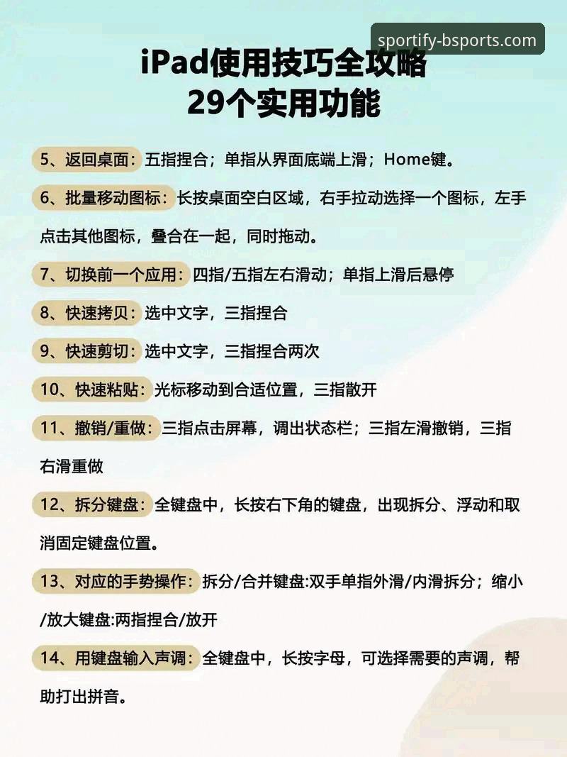 揭秘BSports中文版下载使用技巧：资深用户必备的高效操作指南